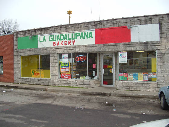 guadalupana.jpg